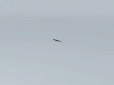 R5AC First Flights Airplane Crashes Free 3D model