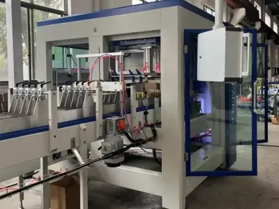 Robotic Grab Type Carton Packing Machine for Bottles and Cans 3D model