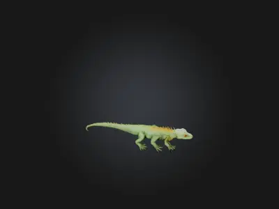 Realistic Lizard Model Low-poly 3D model