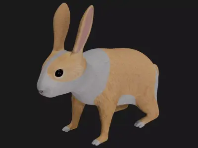 White orange bunny rabbit low poly rigged Low-poly 3D model