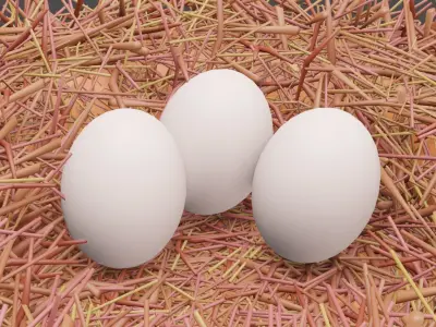 Bird Nest Free 3D model