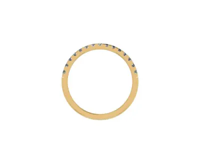 ring 10055 3D print model