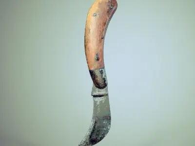 Old Curved Knife 3D model