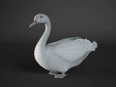White Swan 3D model purchase