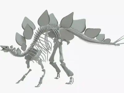 Stegosaurus Rigged Skeleton Low-poly 3D model