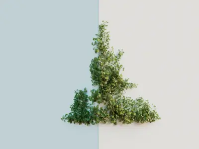 Ivy Collection 3D model
