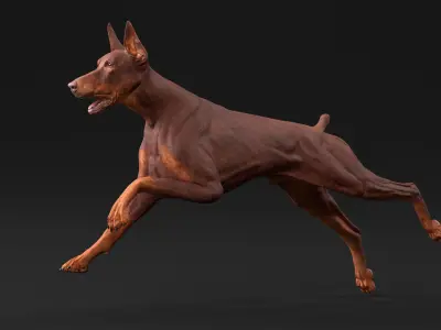 Doberman Dog Brown Running 3D model