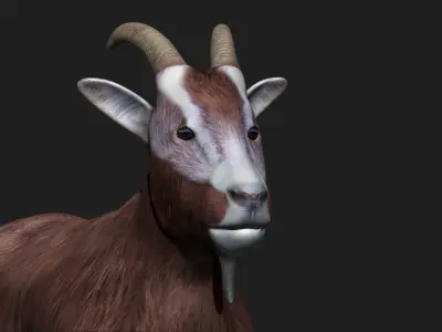 Goat fully rigged low polygon Low-poly 3D model