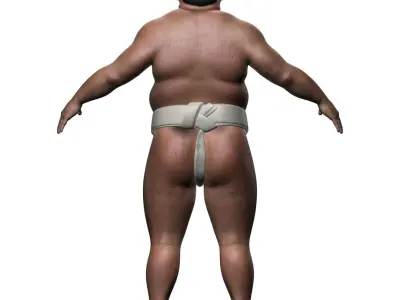 Sumo (Basic) 3D model