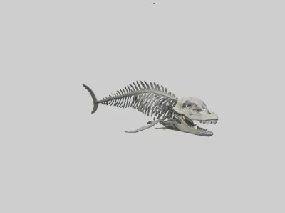 Dunkleosteus Skeleton model Low-poly 3D model