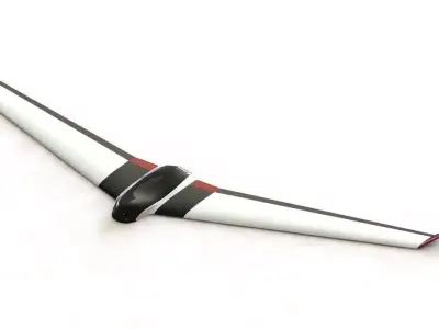 UAV Fixed Wing Skywalker X8 Model Free 3D print model