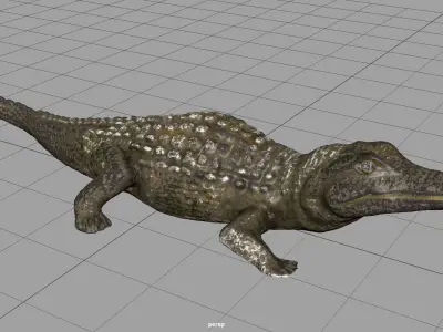 CAIMAN alligator Low-poly 3D model