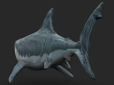 Shark Cartoons Low-poly 3D model