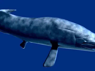 Dunkleosteus whale Low-poly 3D model