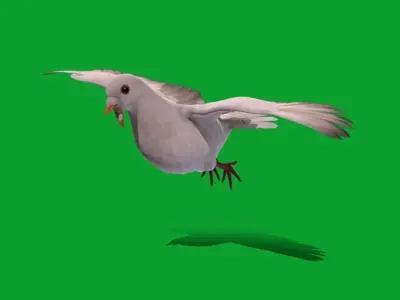 White-winged Dove Bird  Low-poly 3D model