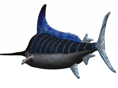 Merlin swordfish Low-poly 3D model