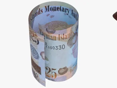 Cayman Islands British 25 Dollar Wallet Money Purse 3D model