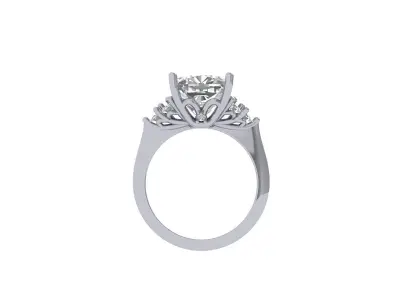 Cushion Ring 3D print model 3