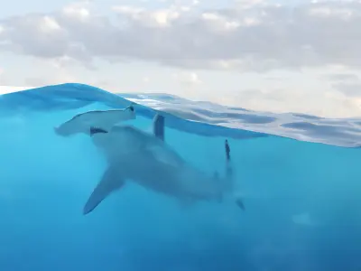 Underwater Maker Low-poly 3D model