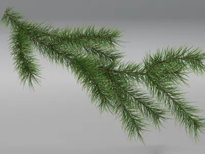  Green Pine Branch 