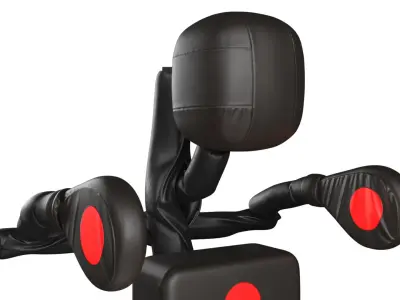 Full Body Striking Dummy Black 3D model