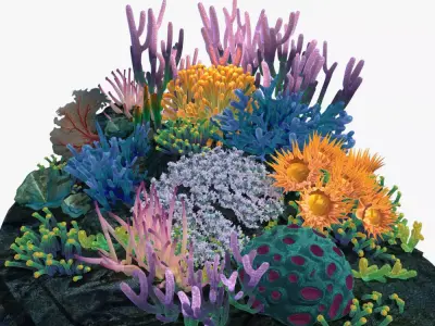 Coral reef 3D model purchase