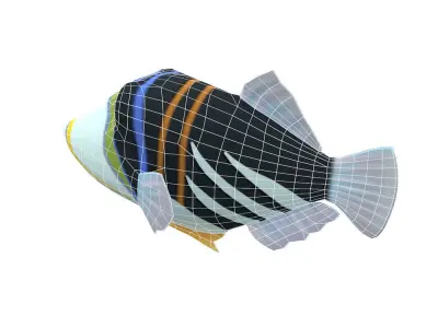 Picasso Trigger Fish Cartoon Animated Low-poly 3D model