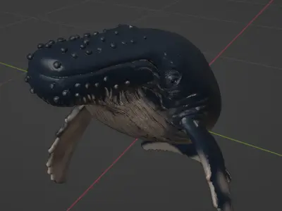 Realistic Humpback Whale Low-poly 3D model