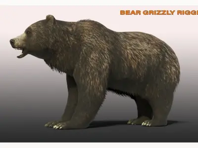 BEAR LOW-POLY RIGGED Low-poly 3D model