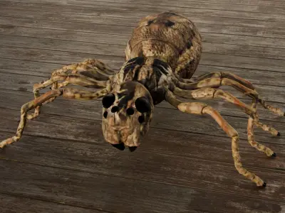 Spider Low-poly 3D model shop