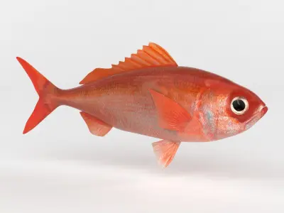 Ruby Fish 3D model