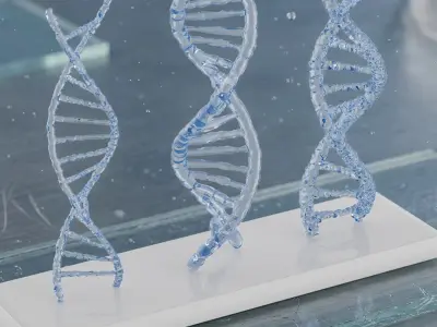 DNA Double Helix Models with Display Stand Blue 3D model