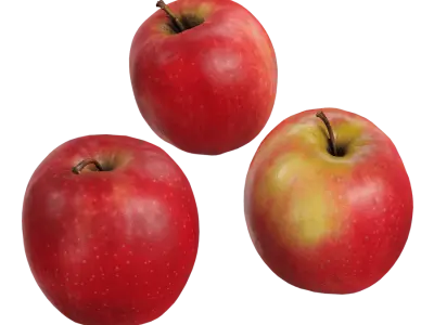  Pink Lady Apple Model  purchase