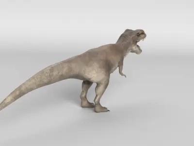 Tyrannosaurus Rex 3D model 8