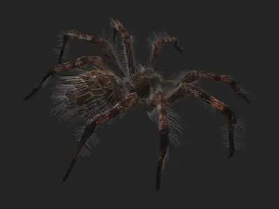 Spider rigged Low-poly 3D model
