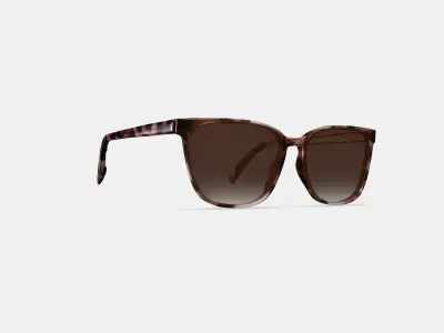 Esme Sunglasses in Sesame Tortoise Low-poly 3D model