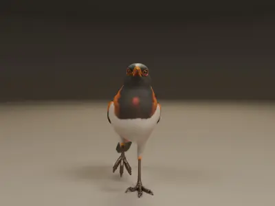 European Starling 3D print model