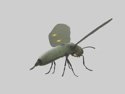 Firefly Model Low-poly 3D model