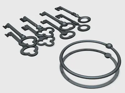Skeleton Keys 3D print model