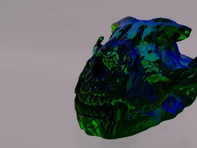 animal skull  3D model