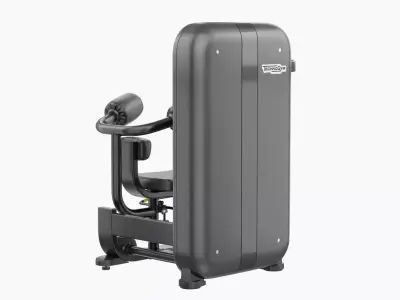 Technogym Artis Rotary Torso 3D model