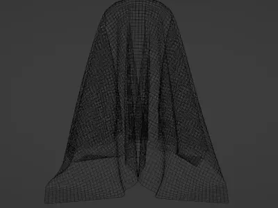 Cloak Free 3D model