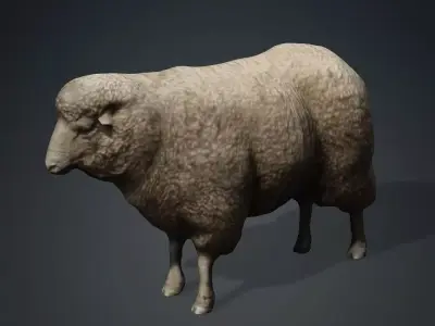 Animal Ram Free 3D model