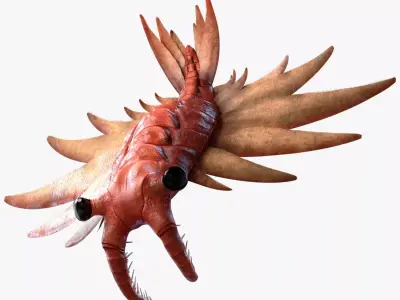 Anomalocaris Canadensis Static 3D model purchase