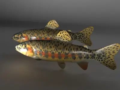 Fish Series 02 Low-poly 3D model