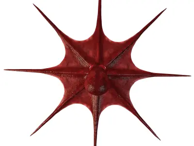 Octopus 3D model 3