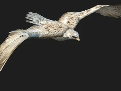 Eagle A2 3D model