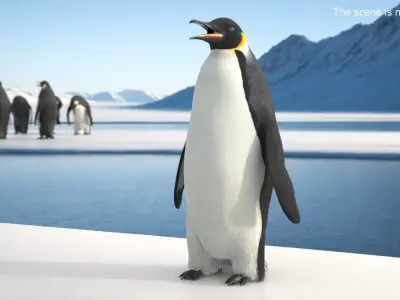 Antarctic Penguin Male Adult Fur 