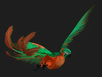 Parrot A2 3D model