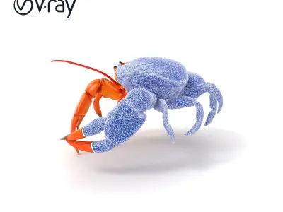 Kamchatka Crab Spiky Carapace Model Pack Low-poly 3D model